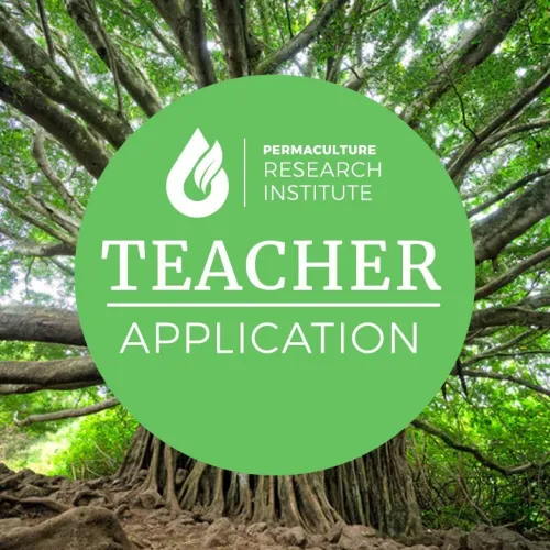 Image for the teacher application review product