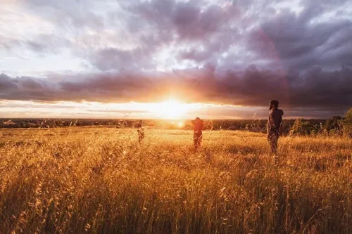 Wide field showing sunset