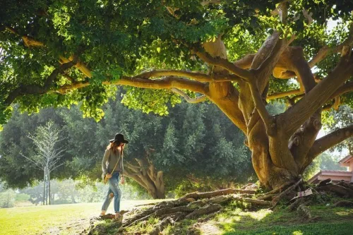 Woman under big tree